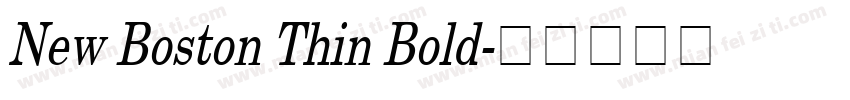 New Boston Thin Bold字体转换